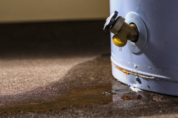 Best Flood restoration services  in Wd, AR
