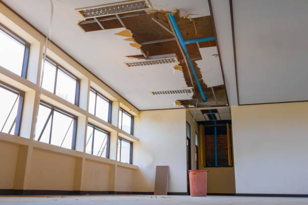 Best Water damage restoration experts  in Wd, AR