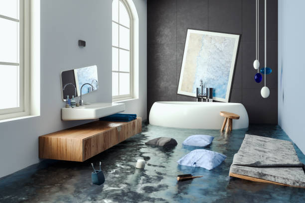 Best Water damage restoration insurance claims  in Wd, AR