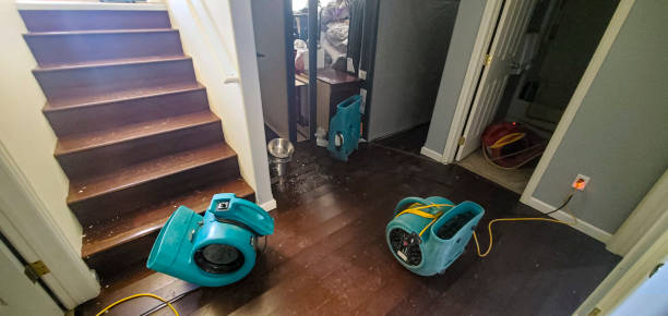 Best Water damage mitigation services  in Wd, AR