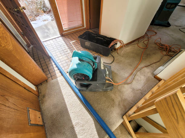 Best Sewage cleanup and water damage restoration  in Wd, AR