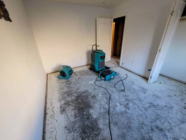 24/7 water damage repair in Ward, AR