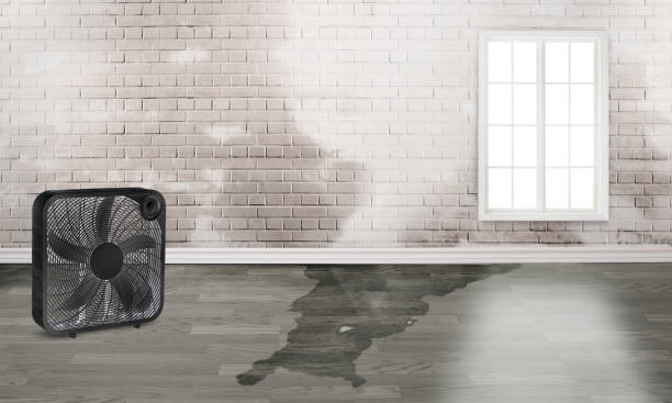  Wd, AR Water damage restoration Pros