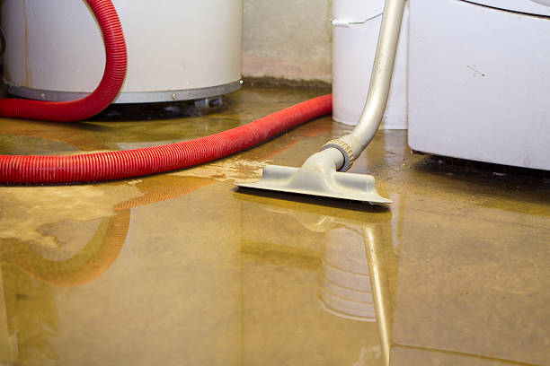 Water damage restoration experts in Ward, AR